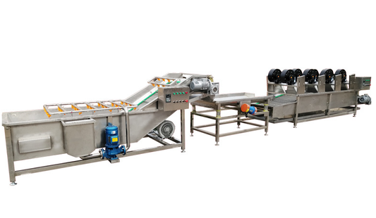 Maximizing Efficiency and Quality with a Fruit Processing Line