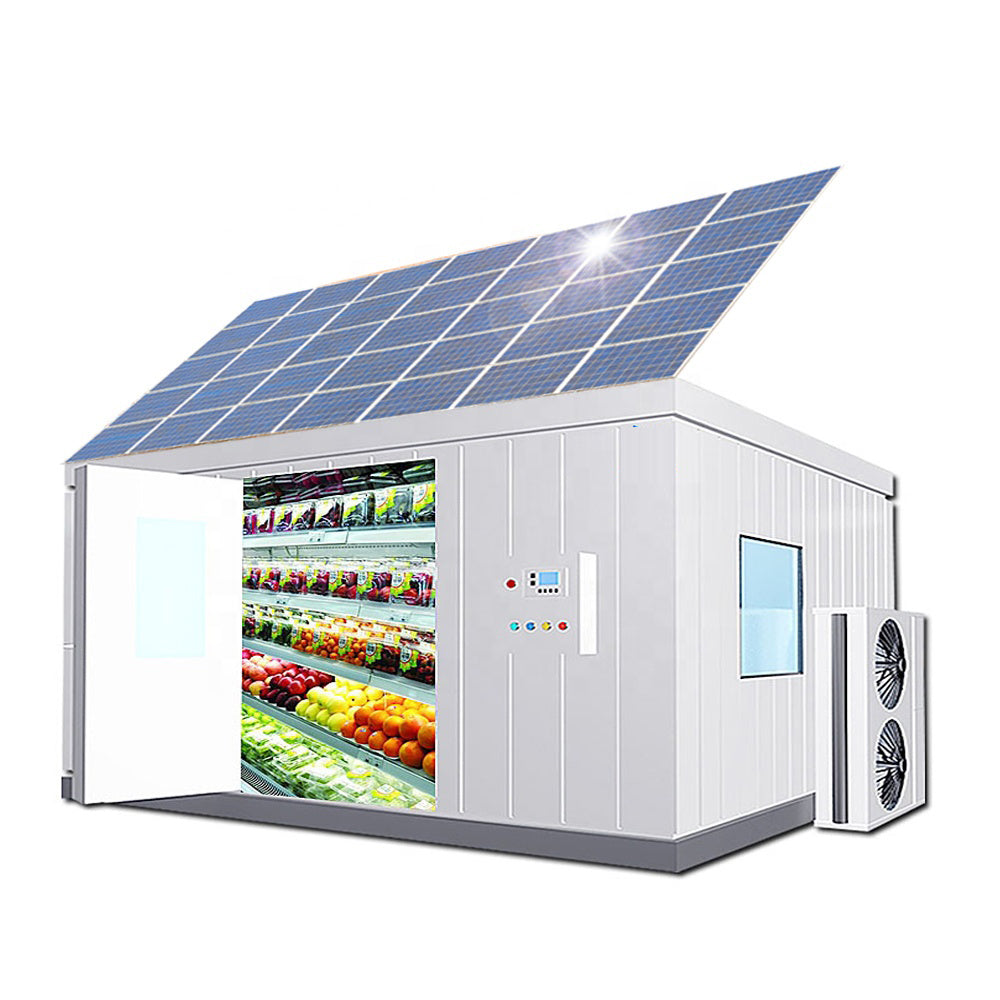 Meat Vegetable Fruit Fish Storage Solar Power Cold Room