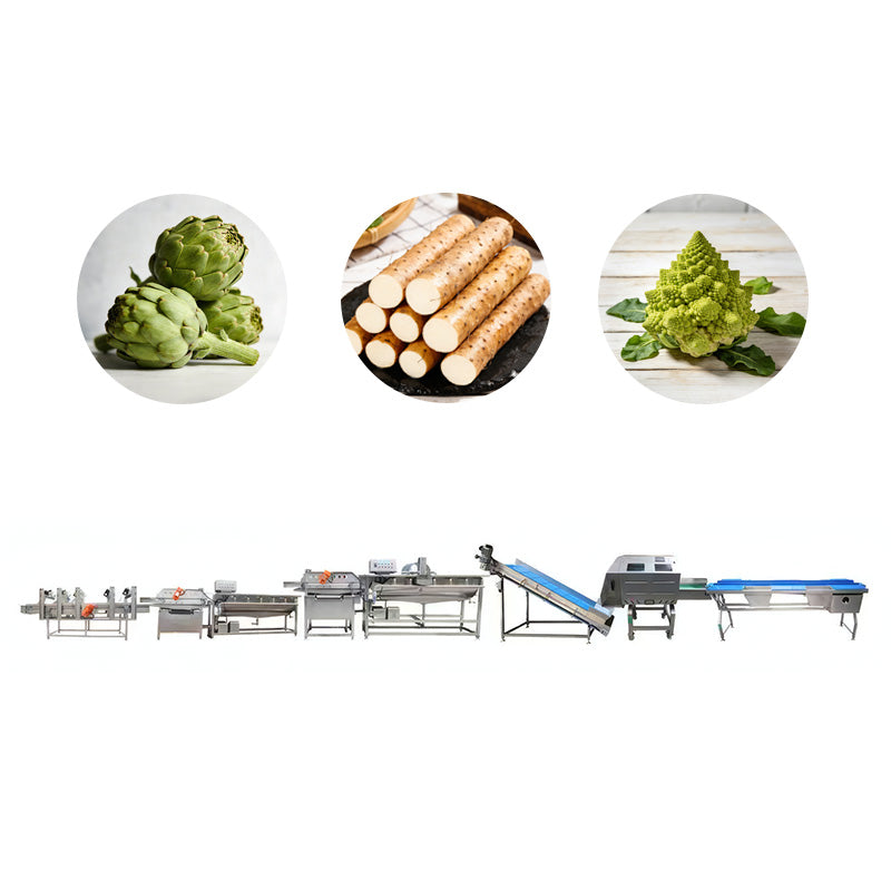Industrial Orange Processing Line for Commercial Food Plant